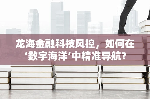 龙海金融科技风控，如何在‘数字海洋’中精准导航？