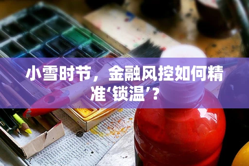 小雪时节，金融风控如何精准‘锁温’？