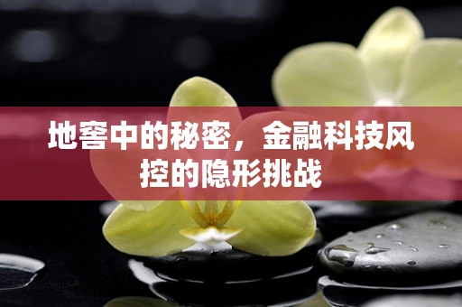 地窖中的秘密，金融科技风控的隐形挑战