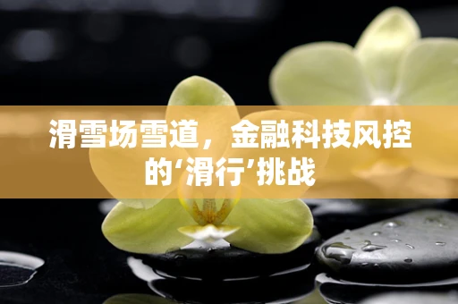 滑雪场雪道，金融科技风控的‘滑行’挑战
