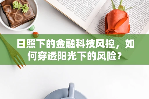 日照下的金融科技风控，如何穿透阳光下的风险？