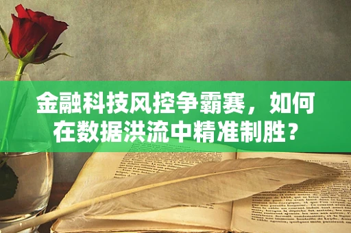 金融科技风控争霸赛，如何在数据洪流中精准制胜？