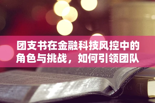 团支书在金融科技风控中的角色与挑战，如何引领团队穿越数据迷雾？