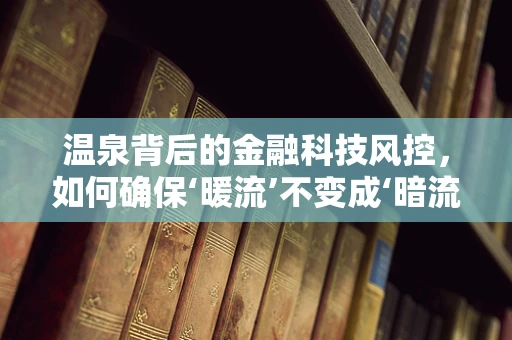 温泉背后的金融科技风控，如何确保‘暖流’不变成‘暗流’？