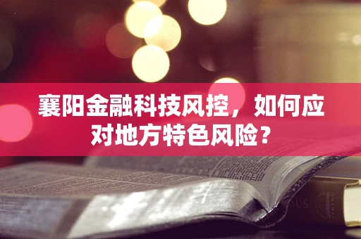 襄阳金融科技风控，如何应对地方特色风险？