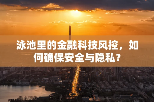 泳池里的金融科技风控，如何确保安全与隐私？