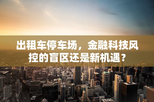 出租车停车场，金融科技风控的盲区还是新机遇？