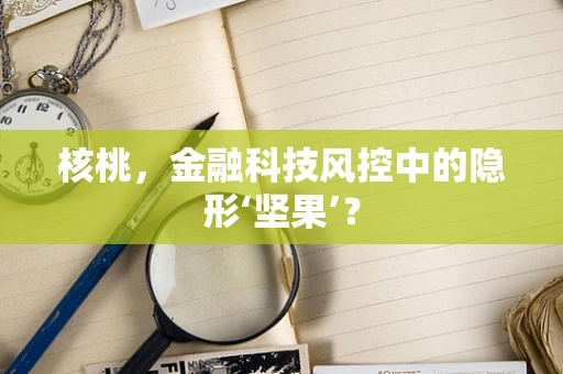 核桃，金融科技风控中的隐形‘坚果’？