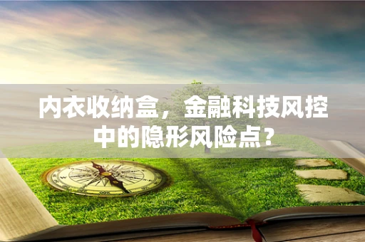 内衣收纳盒，金融科技风控中的隐形风险点？