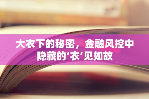 大衣下的秘密，金融风控中隐藏的‘衣’见如故