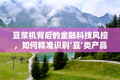 豆浆机背后的金融科技风控，如何精准识别‘豆’类产品的支付风险？