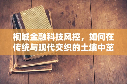 桐城金融科技风控，如何在传统与现代交织的土壤中茁壮成长？