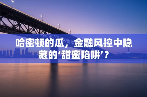 哈密顿的瓜，金融风控中隐藏的‘甜蜜陷阱’？