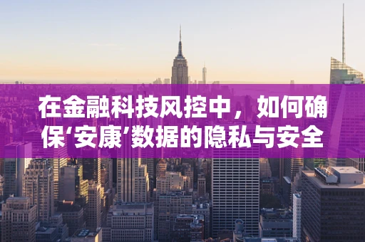 在金融科技风控中，如何确保‘安康’数据的隐私与安全？
