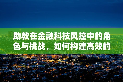 助教在金融科技风控中的角色与挑战，如何构建高效的风控辅助系统？