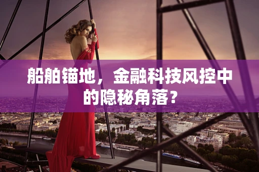 船舶锚地，金融科技风控中的隐秘角落？