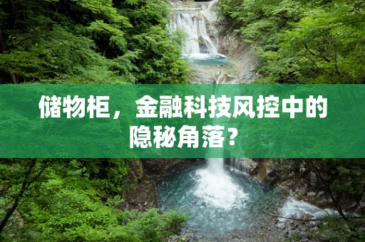 储物柜，金融科技风控中的隐秘角落？