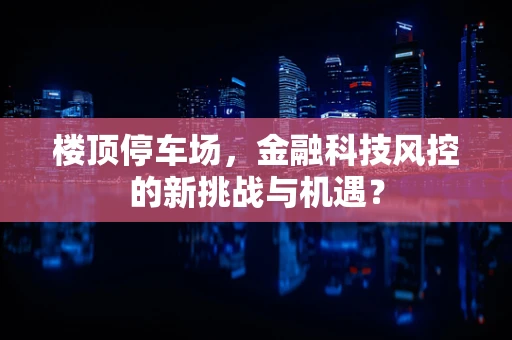 楼顶停车场，金融科技风控的新挑战与机遇？