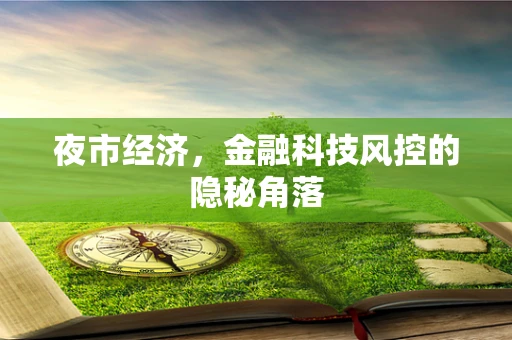 夜市经济，金融科技风控的隐秘角落