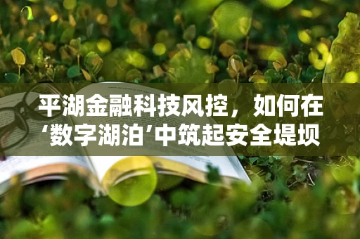 平湖金融科技风控，如何在‘数字湖泊’中筑起安全堤坝？
