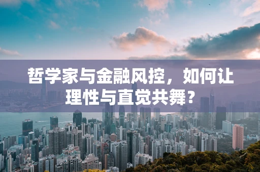 哲学家与金融风控，如何让理性与直觉共舞？