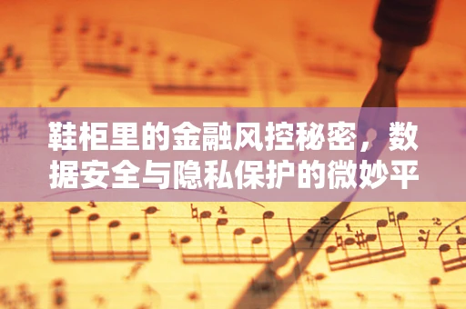 鞋柜里的金融风控秘密，数据安全与隐私保护的微妙平衡