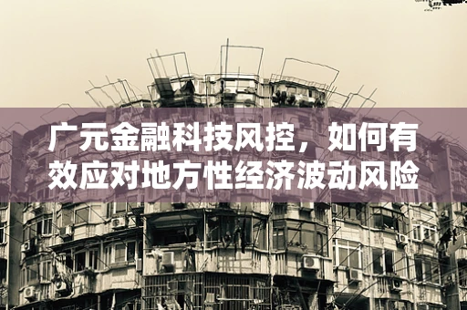 广元金融科技风控，如何有效应对地方性经济波动风险？