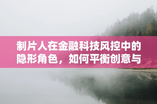 制片人在金融科技风控中的隐形角色，如何平衡创意与风险？