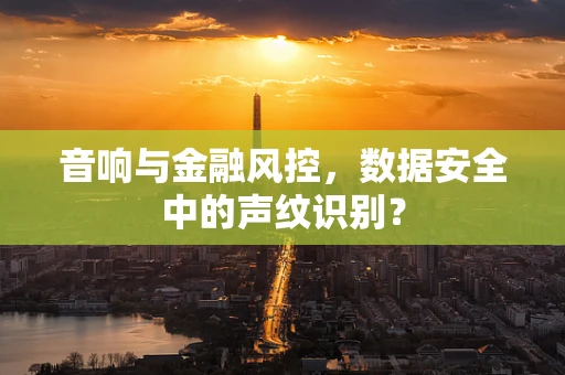 音响与金融风控，数据安全中的声纹识别？