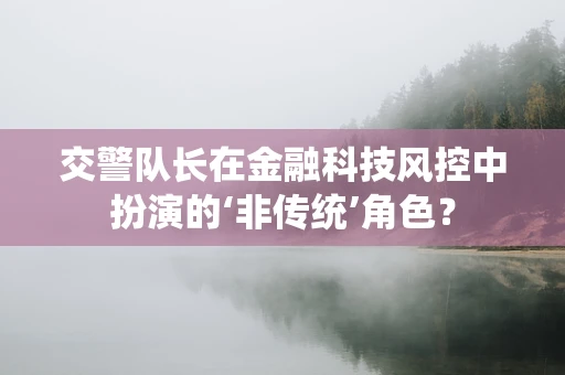 交警队长在金融科技风控中扮演的‘非传统’角色？