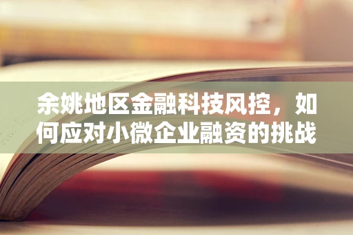 余姚地区金融科技风控，如何应对小微企业融资的挑战？