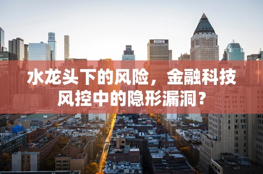 水龙头下的风险，金融科技风控中的隐形漏洞？