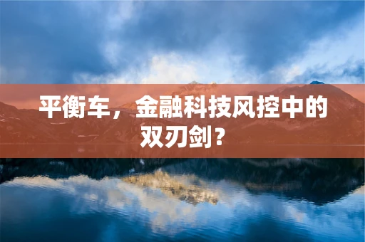 平衡车，金融科技风控中的双刃剑？