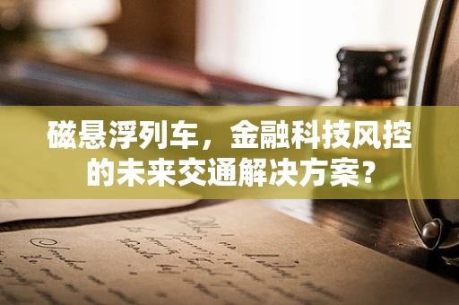 磁悬浮列车，金融科技风控的未来交通解决方案？