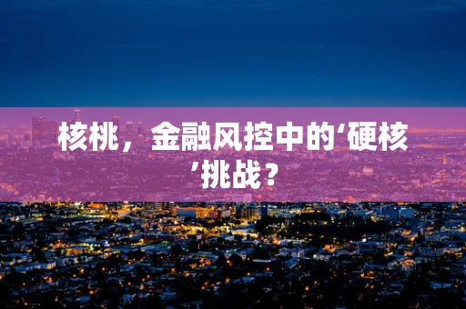 核桃，金融风控中的‘硬核’挑战？