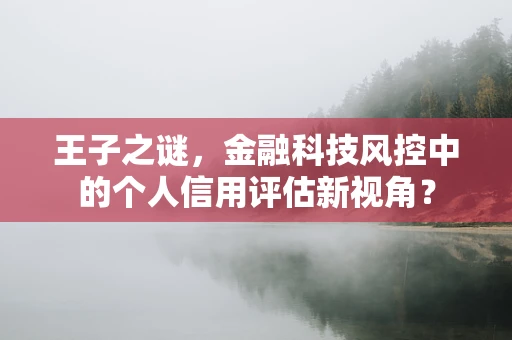 王子之谜，金融科技风控中的个人信用评估新视角？