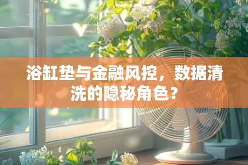 浴缸垫与金融风控，数据清洗的隐秘角色？
