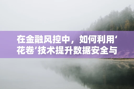 在金融风控中，如何利用‘花卷’技术提升数据安全与效率？