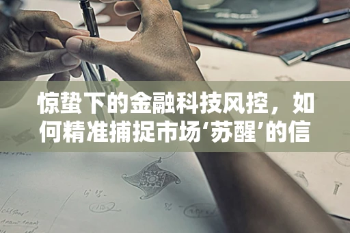 惊蛰下的金融科技风控，如何精准捕捉市场‘苏醒’的信号？