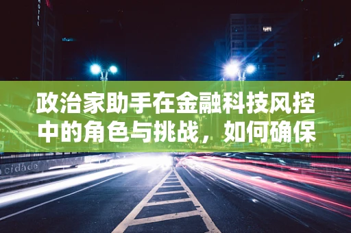 政治家助手在金融科技风控中的角色与挑战，如何确保决策的精准与安全？