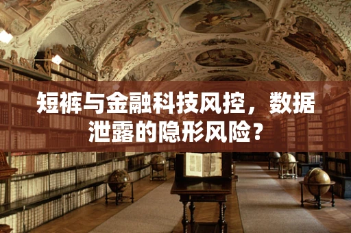短裤与金融科技风控，数据泄露的隐形风险？