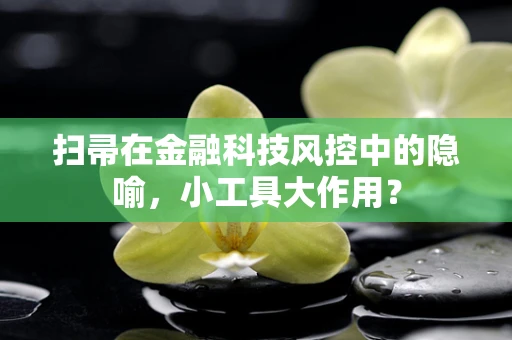 扫帚在金融科技风控中的隐喻，小工具大作用？