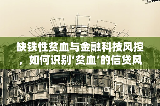 缺铁性贫血与金融科技风控，如何识别‘贫血’的信贷风险？