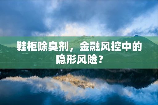 鞋柜除臭剂，金融风控中的隐形风险？