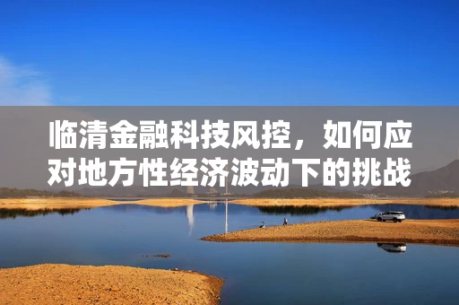 临清金融科技风控，如何应对地方性经济波动下的挑战？