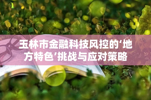 玉林市金融科技风控的‘地方特色’挑战与应对策略