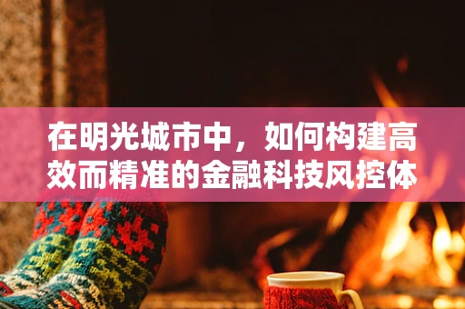 在明光城市中，如何构建高效而精准的金融科技风控体系？