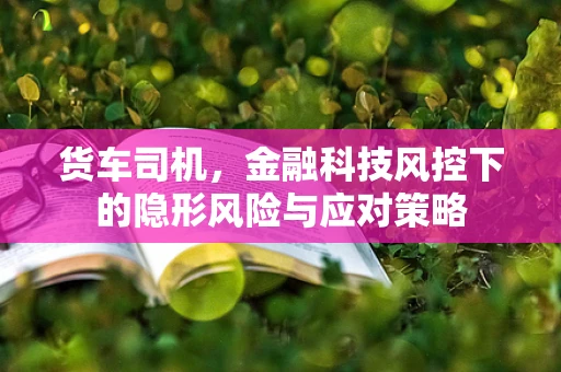 货车司机，金融科技风控下的隐形风险与应对策略