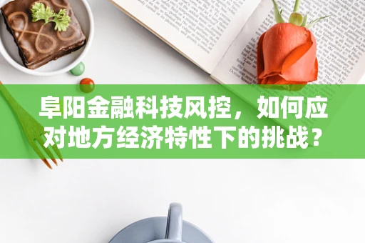 阜阳金融科技风控，如何应对地方经济特性下的挑战？