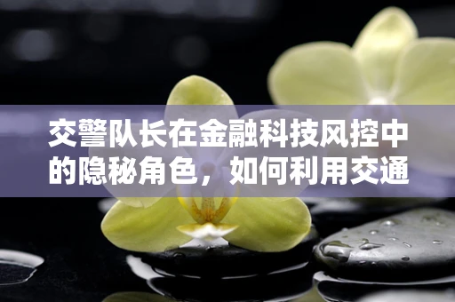 交警队长在金融科技风控中的隐秘角色，如何利用交通管理智慧保障金融安全？